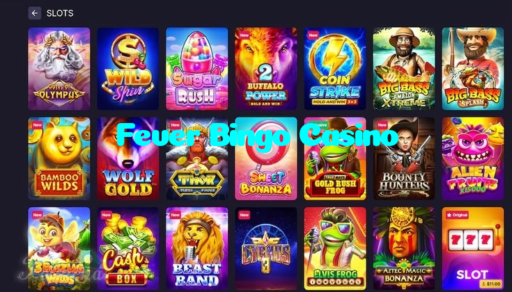 making first deposit on Fever Bingo Casino website using local payment methods in Pakistan